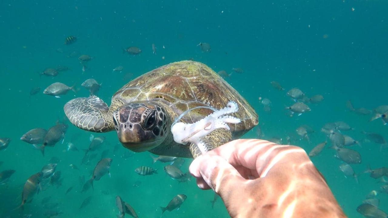 Pousada Conves - Ilha Grande Praia de Araçatiba Kültér fotó
